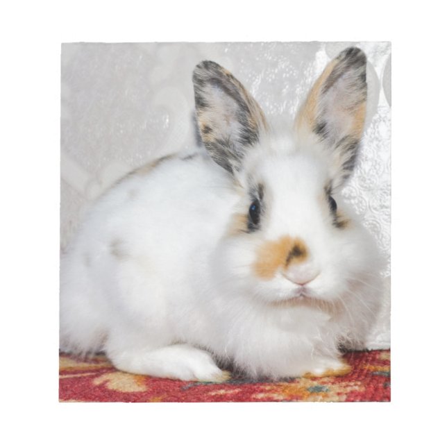 Bloc De Notas Conejo de Pascua (Frente)