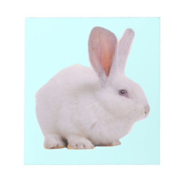 Bloc De Notas Conejo Kawaii Lindo (Frente)