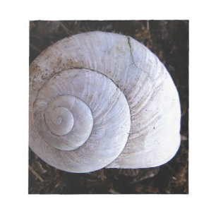 Bloc De Notas Cool snailshell