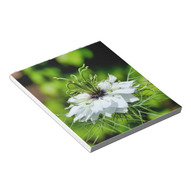 Bloc De Notas Cornflower (Lado Derecho)