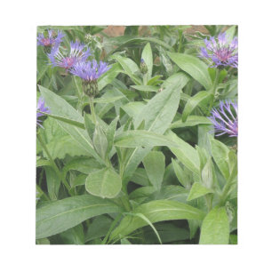 Bloc De Notas Cornflowers Notepad
