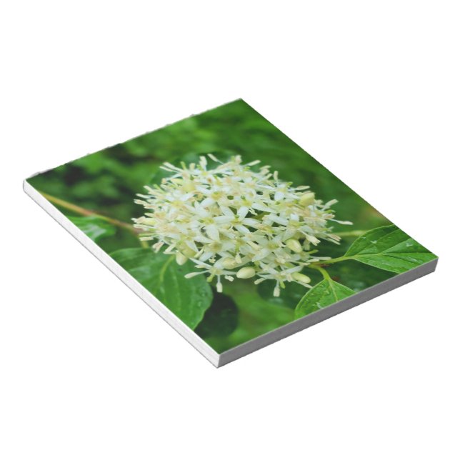 Bloc De Notas Cornus sanguinea (Lado Derecho)