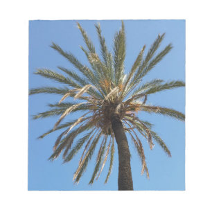 Bloc De Notas corona de una palmera