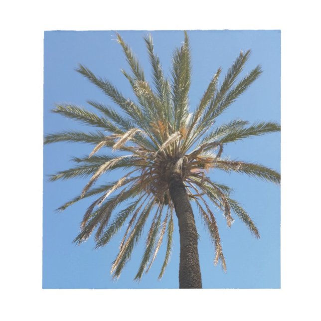 Bloc De Notas corona de una palmera (Frente)