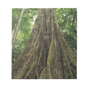 Bloc De Notas Costa Rica, Parque Nacional Corcovado, Apuntalado