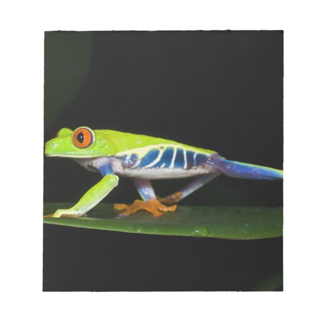Bloc De Notas Costa Rica, Rana de árbol de ojos rojos (Agalychni (Frente)