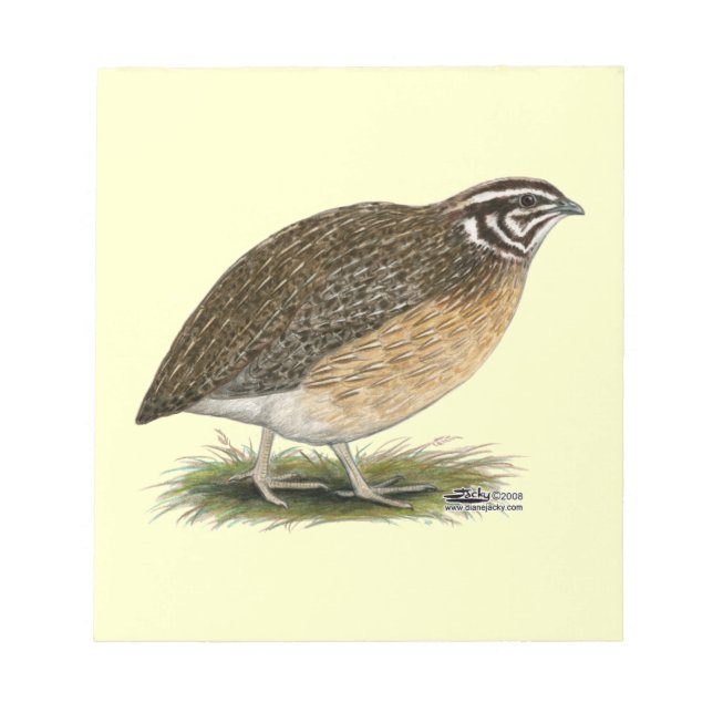 Bloc De Notas Coturnix Pharaoh Quail (Frente)