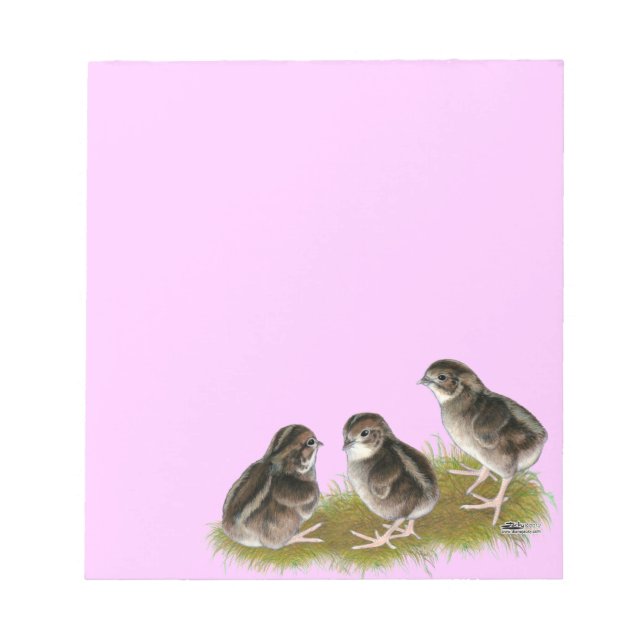 Bloc De Notas Coturnix Quail Chicks (Frente)