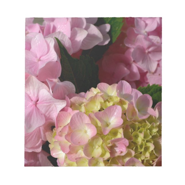 Bloc De Notas Crema rosa Hydrangeas amarillo rosa verde floral (Frente)