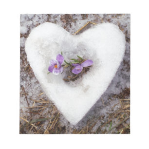 Bloc De Notas Crocus primaveral en foto de corazón de nieve