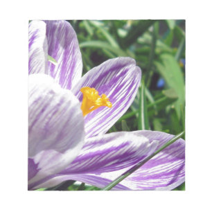 Bloc De Notas Crocus violeta de primavera