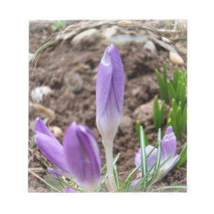 Bloc De Notas Cruces de primavera