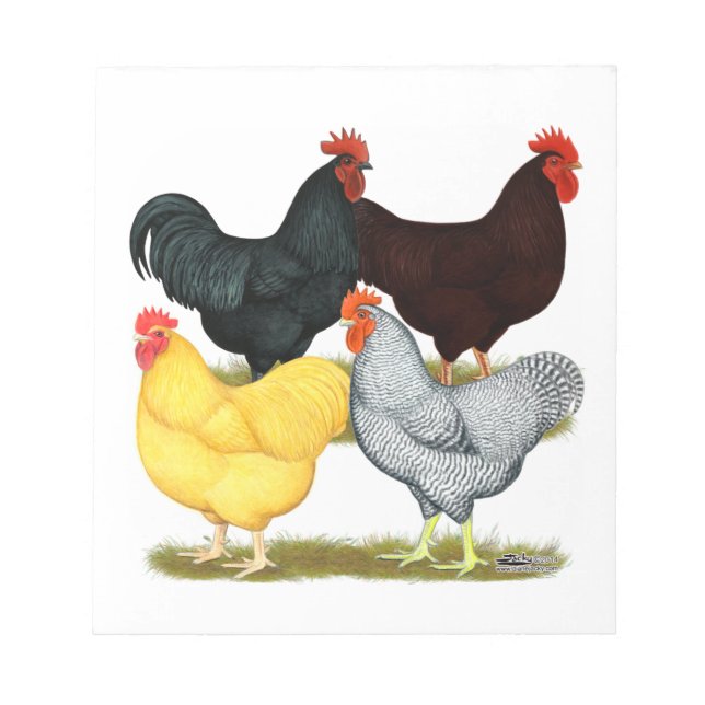 Bloc De Notas Cuarteto de pollo de gallo pesado (Frente)