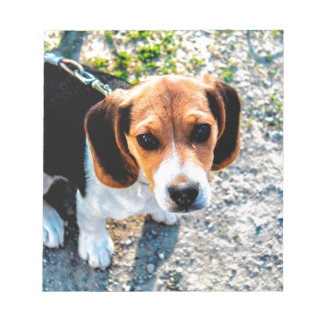Bloc De Notas Cute Beagle