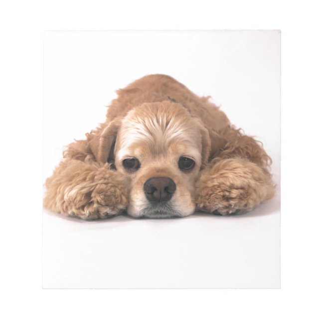 Bloc De Notas Cute Cocker Spaniel (Frente)