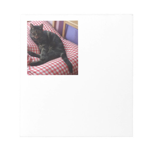 Bloc De Notas Cute Dave (Frente)