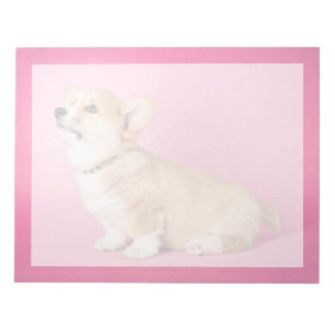 Bloc De Notas Cutest Baby Animals Pink Corgi Puppy