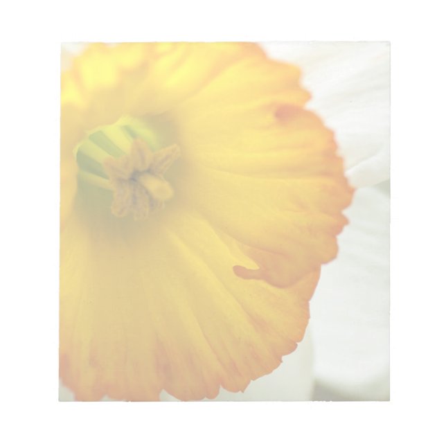 Bloc De Notas Daffodil (Frente)