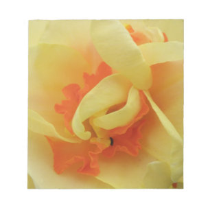 Bloc De Notas Daffodil Daffodil Notepad