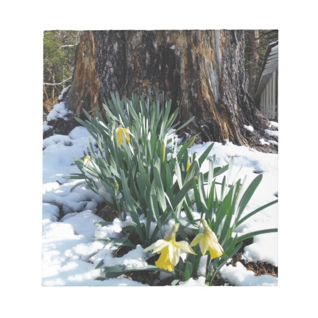 Bloc De Notas Dafpies amarillos en la nieve (Frente)
