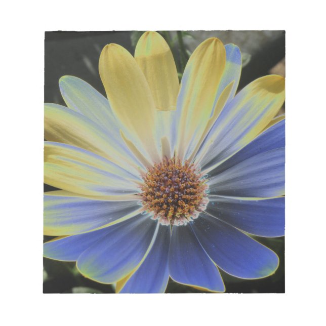 Bloc De Notas Daisy Lapis Africano y Notepad Oro (Frente)