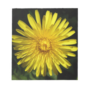 Bloc De Notas Dandelion Notepad