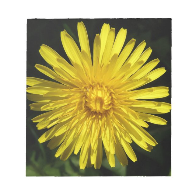 Bloc De Notas Dandelion Notepad (Frente)