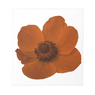 Bloc de notas de anemone marrón