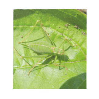 Bloc de notas de camuflaje de críquet verde