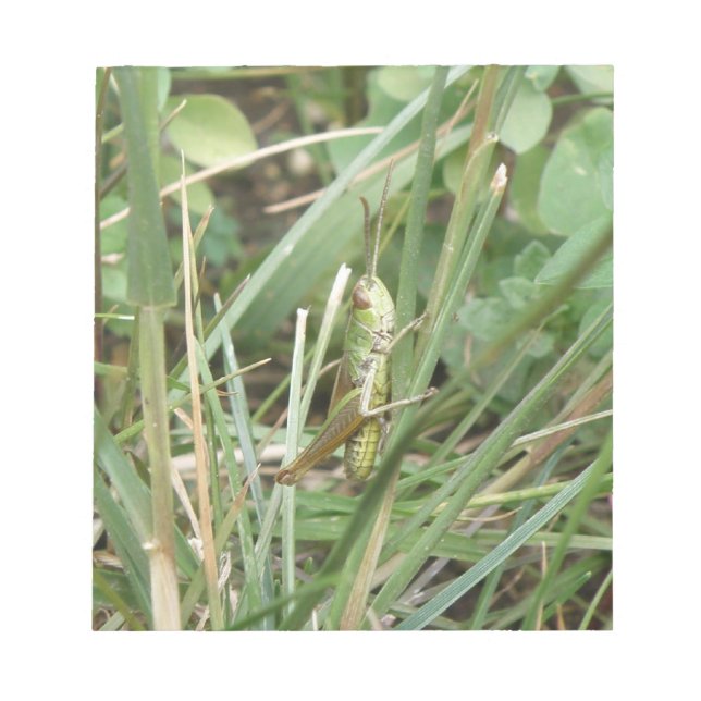Bloc de notas de camuflaje de Grasshopper (Frente)