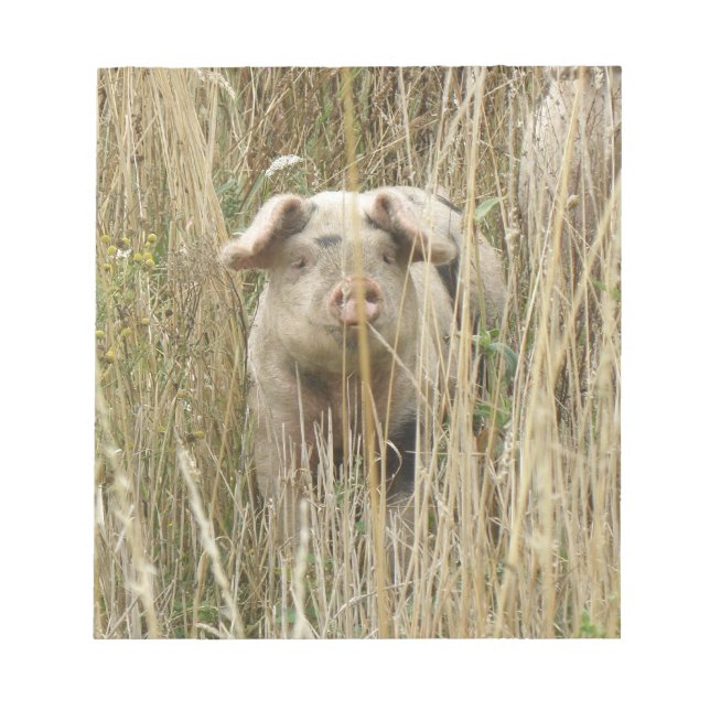Bloc de notas de cerdo con cola (Frente)