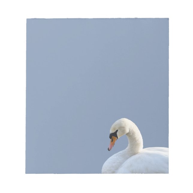 Bloc de notas de cisne blanco (Frente)