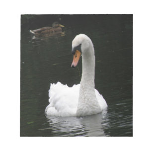 Bloc de notas de cisne blanco