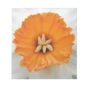 Bloc de notas de Daffodil Blanco