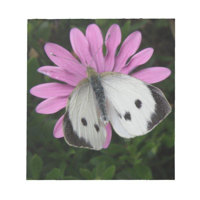 Bloc de notas de flor rosa y mariposa (Frente)