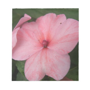 Bloc de notas de flores de color rosa pálido