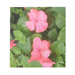 Bloc de notas de flores de Impatios rosas