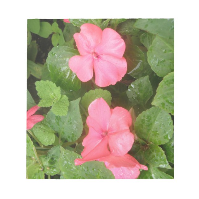 Bloc de notas de flores de Impatios rosas (Frente)