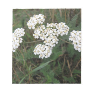 Bloc de notas de flores silvestres blancas