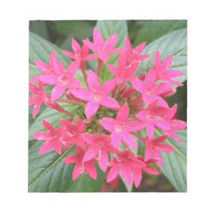 Bloc de notas de flores tropicales rosa brillante