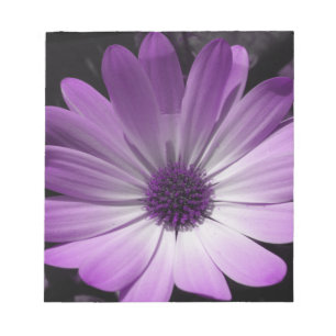 Bloc de notas de la flor morada de margarita