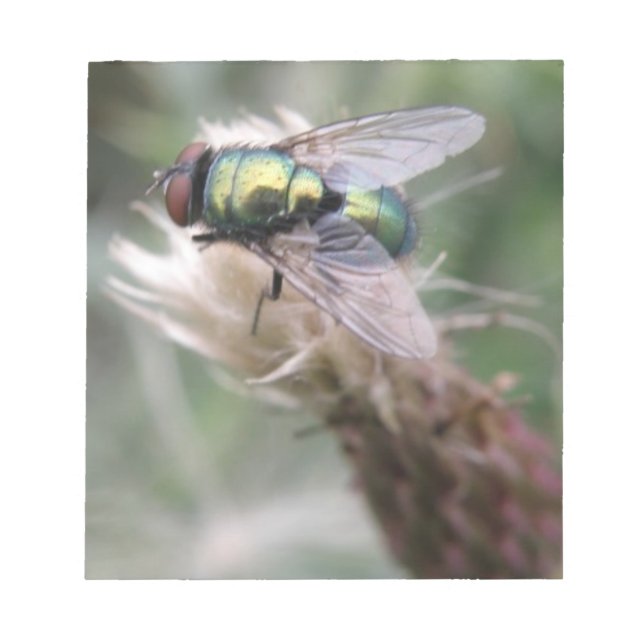 Bloc de notas de la macro de la mosca verde (Frente)
