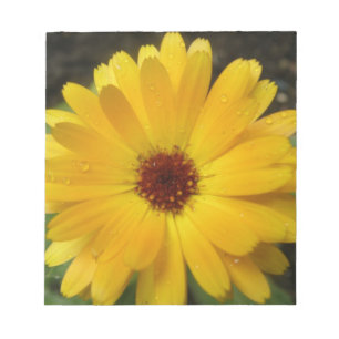 Bloc de notas de macro amarillo Marigold