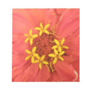 Bloc de notas de macros de la zinnia roja