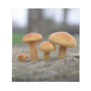 Bloc de notas de macros de toadstoides pequeños