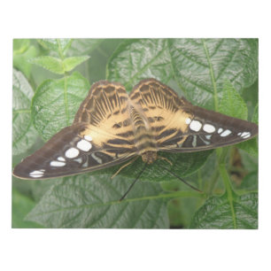 Bloc de notas de mariposa de Clipper Tropical boni