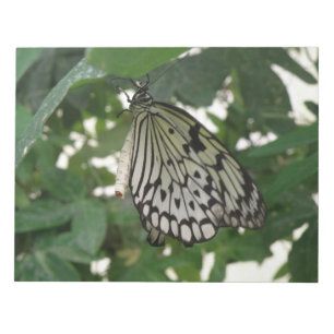 Bloc de notas de mariposa de cometa de papel tropi