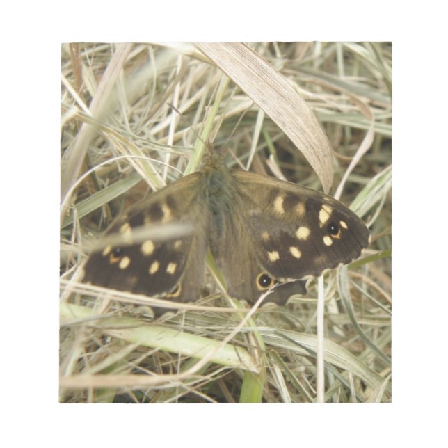 Bloc de notas de mariposa de madera escamada (Frente)