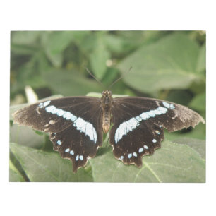Bloc de notas de mariposa tropical en blanco y neg