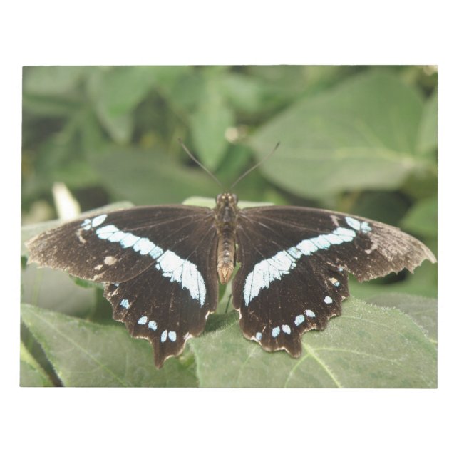 Bloc de notas de mariposa tropical en blanco y neg (Frente)
